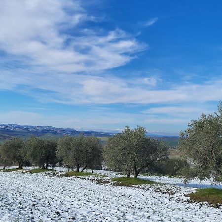 Dimora In Francigena Otel San Quirico dʼOrcia Dış mekan fotoğraf