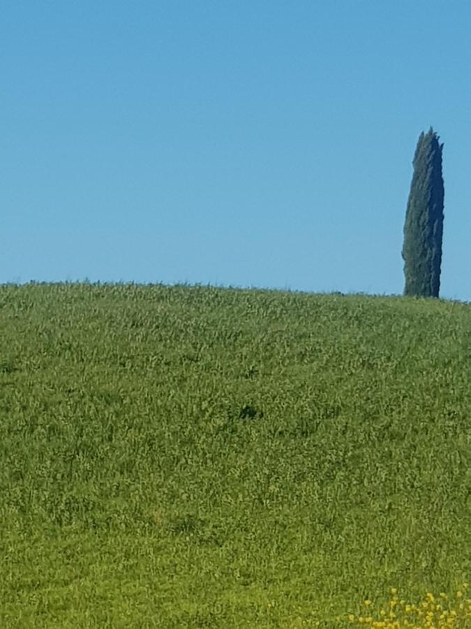 Dimora In Francigena Otel San Quirico dʼOrcia Dış mekan fotoğraf