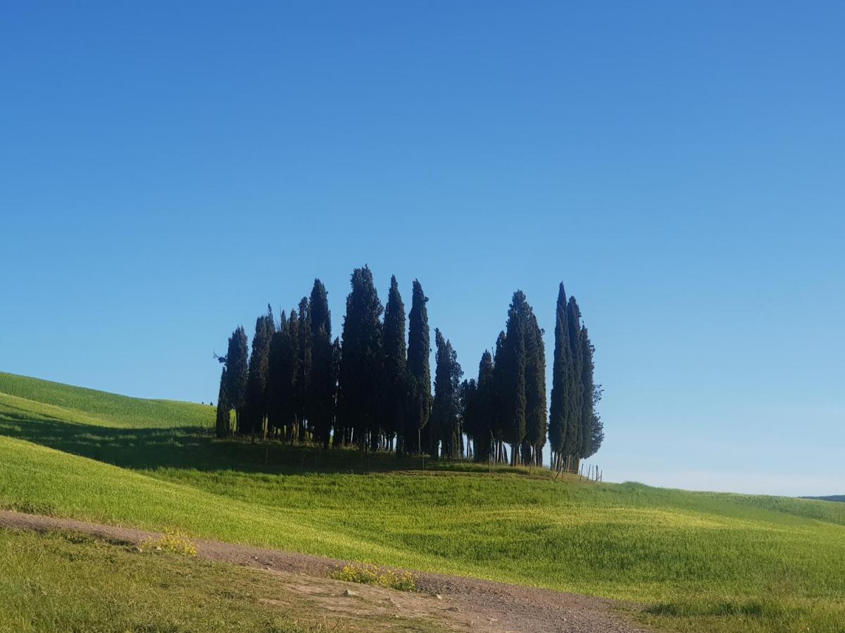 Dimora In Francigena Otel San Quirico dʼOrcia Dış mekan fotoğraf