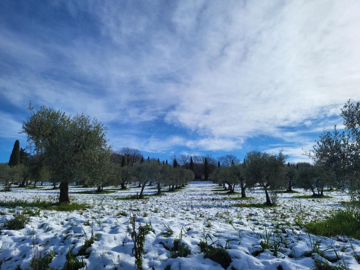 Dimora In Francigena Otel San Quirico dʼOrcia Dış mekan fotoğraf